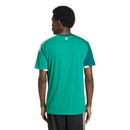 Camisa Irlanda 2026 Home
